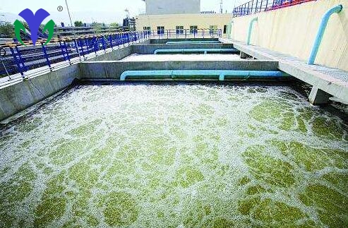 fbb7ac8143b6bf9219e8d44d1b564786